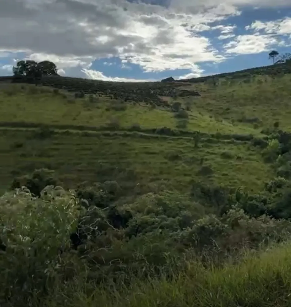 Fazenda, 160 hectares - Foto 4