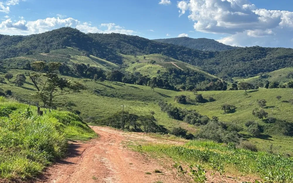 Fazenda, 160 hectares - Foto 3