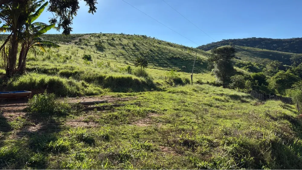 Fazenda, 160 hectares - Foto 2