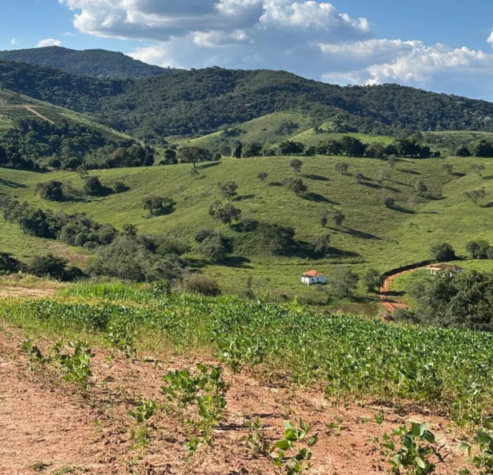 Fazenda, 160 hectares - Foto 6