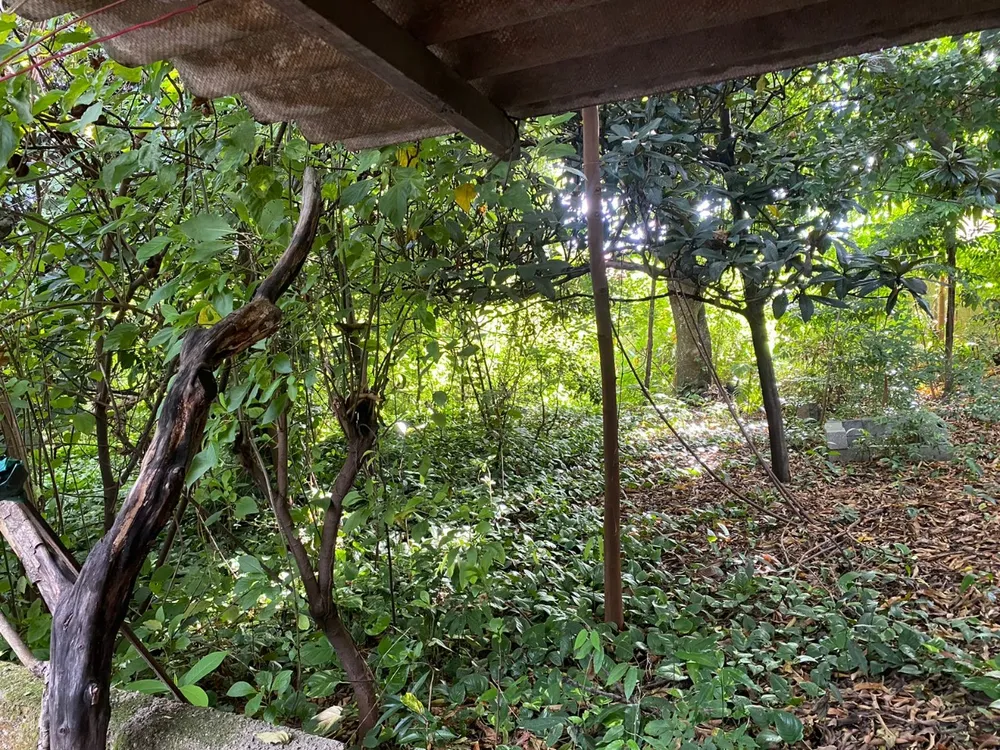 Terreno, 1724 m² - Foto 14