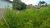 Terreno, 1000 m² - Foto 2