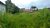 Terreno, 1000 m² - Foto 1