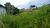 Terreno, 1000 m² - Foto 7