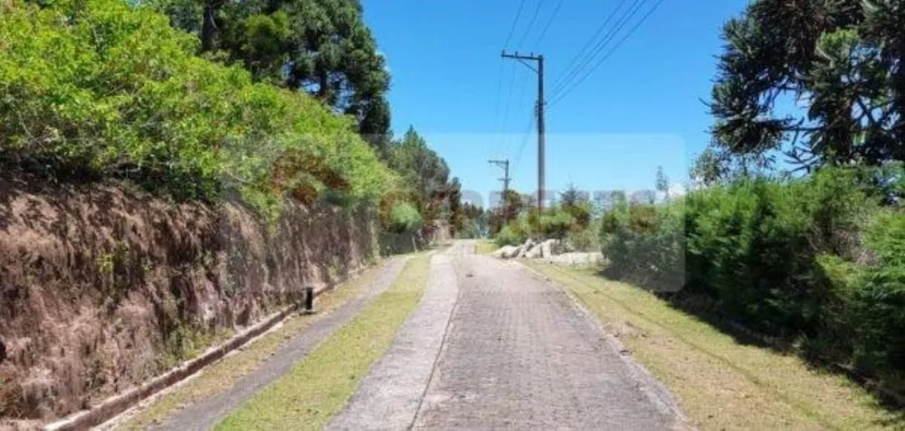 Terreno, 2500 m² - Foto 1