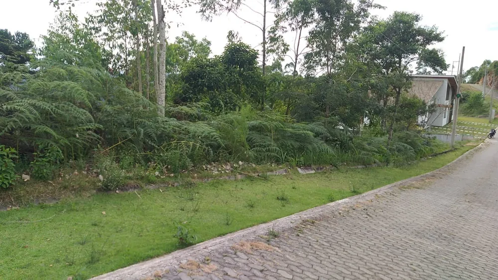Terreno, 2500 m² - Foto 15