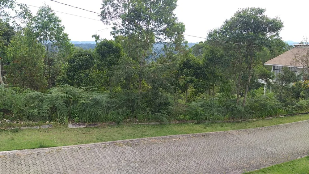 Terreno, 2500 m² - Foto 2