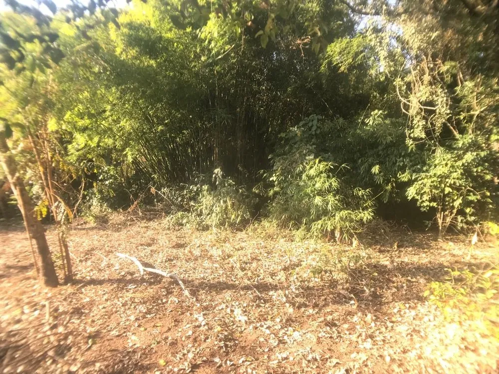 Sítio, 4 quartos, 5583 m² - Foto 11