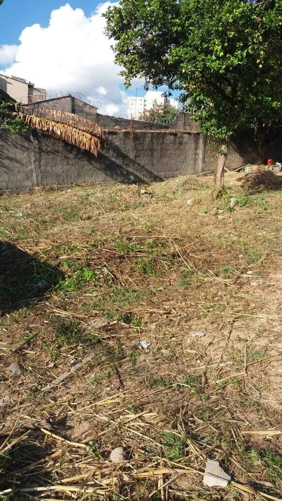 Terreno, 2200 m² - Foto 6