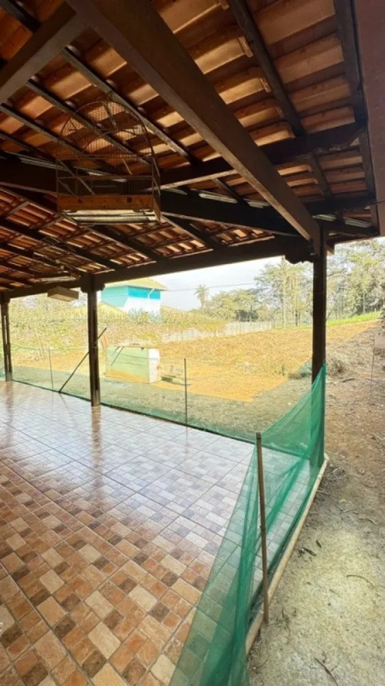 Chácara, 3 quartos - Foto 4