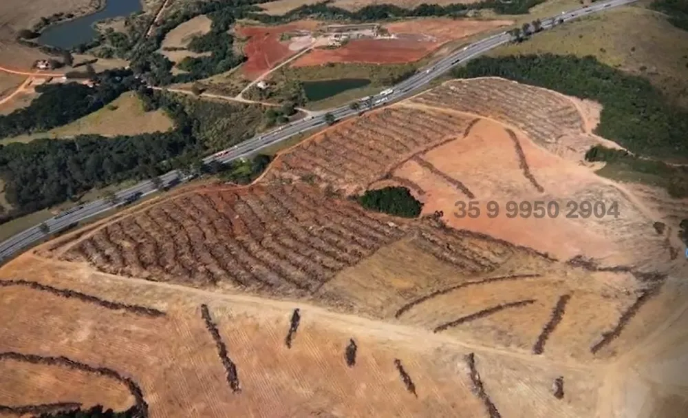 Fazenda, 182 hectares - Foto 4