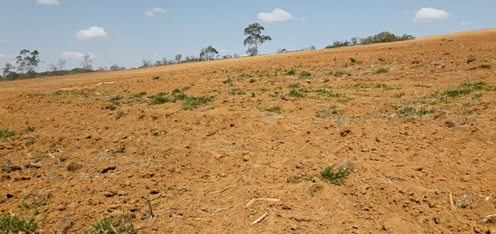 Fazenda, 182 hectares - Foto 8
