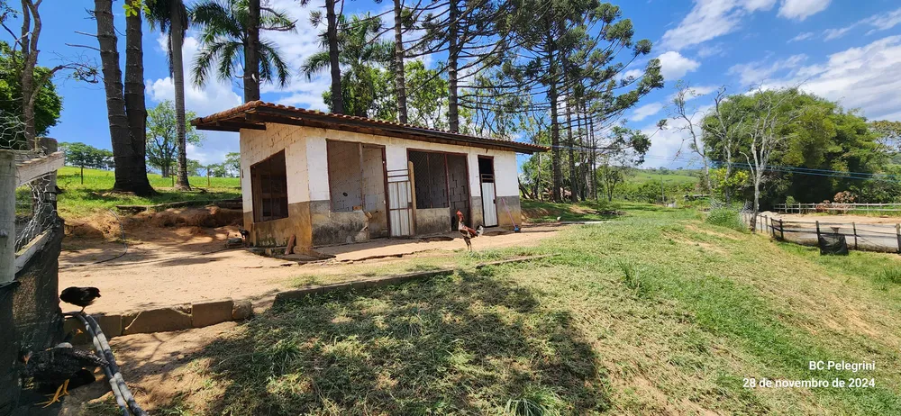 Sítio, 3 quartos, 12 hectares - Foto 11