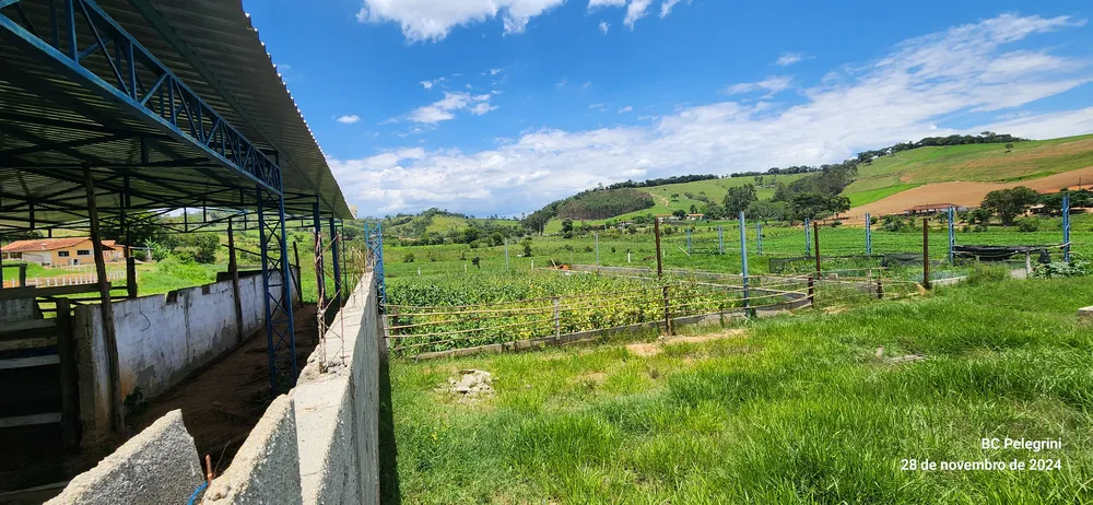 Sítio, 3 quartos, 12 hectares - Foto 10