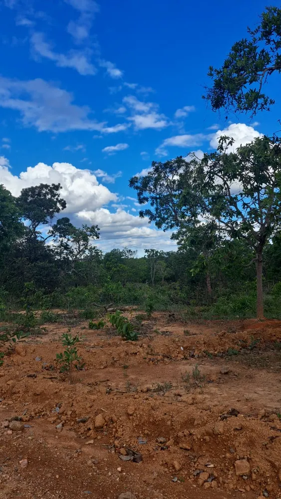 Terreno, 2 hectares - Foto 4