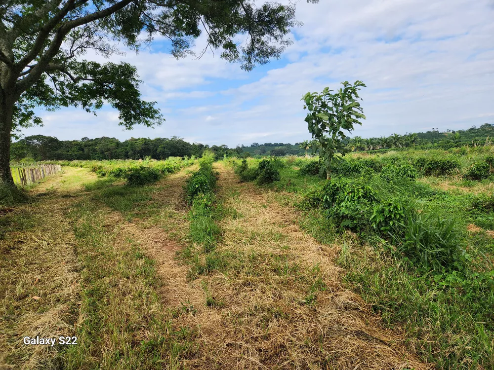 Chácara à venda com 2 quartos, 484000m² - Foto 3