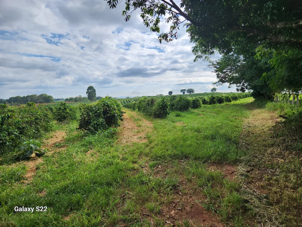 Chácara à venda com 2 quartos, 484000m² - Foto 1