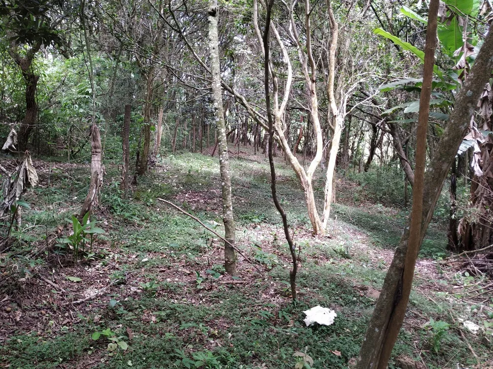 Chácara, 1 quarto - Foto 8