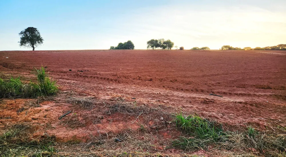 Fazenda, 113 hectares - Foto 8