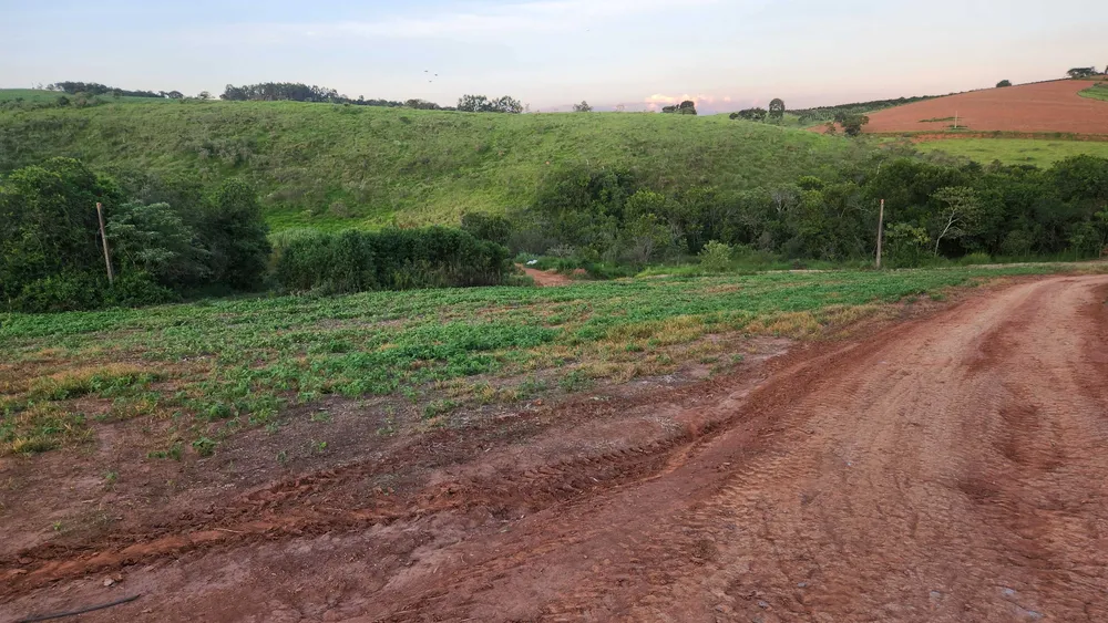Fazenda, 113 hectares - Foto 11