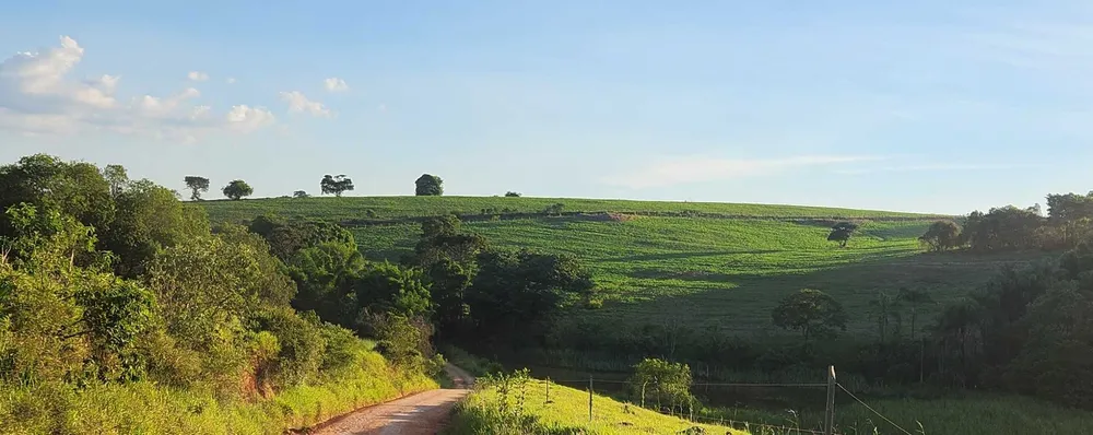 Fazenda, 113 hectares - Foto 9