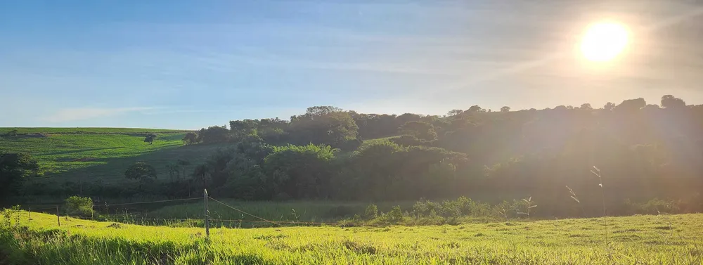Fazenda, 113 hectares - Foto 7