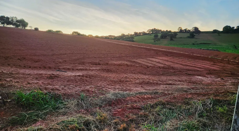 Fazenda, 113 hectares - Foto 3