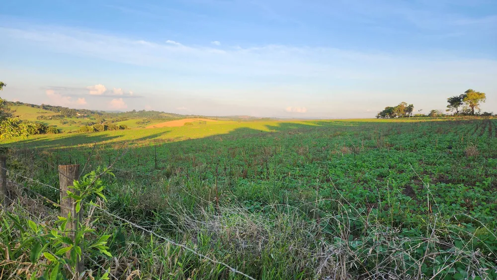 Fazenda, 113 hectares - Foto 16
