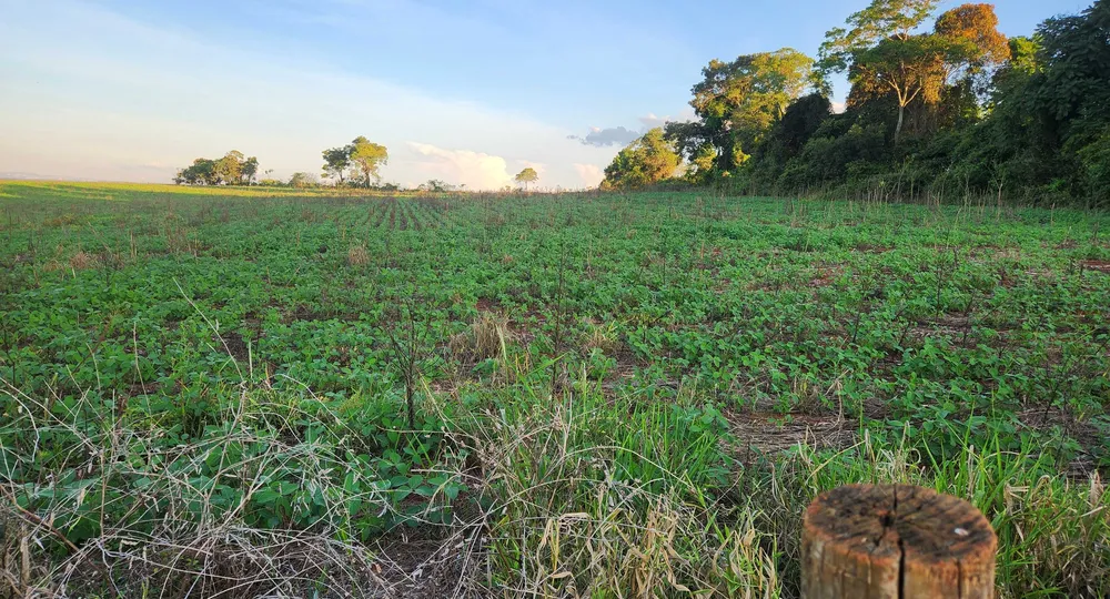 Fazenda, 113 hectares - Foto 18