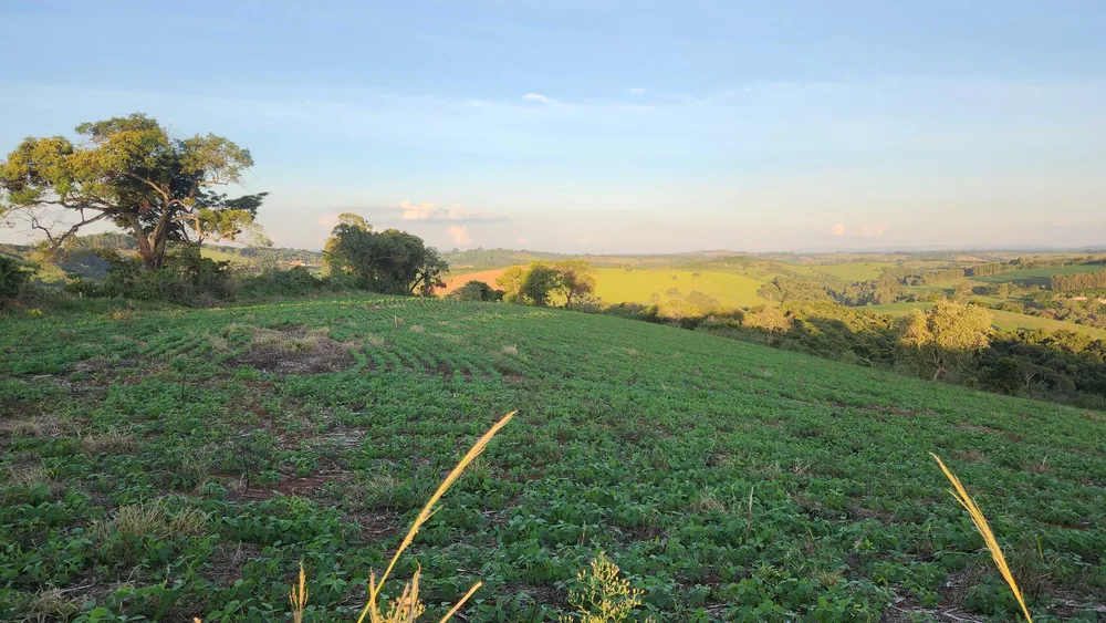 Fazenda, 113 hectares - Foto 19