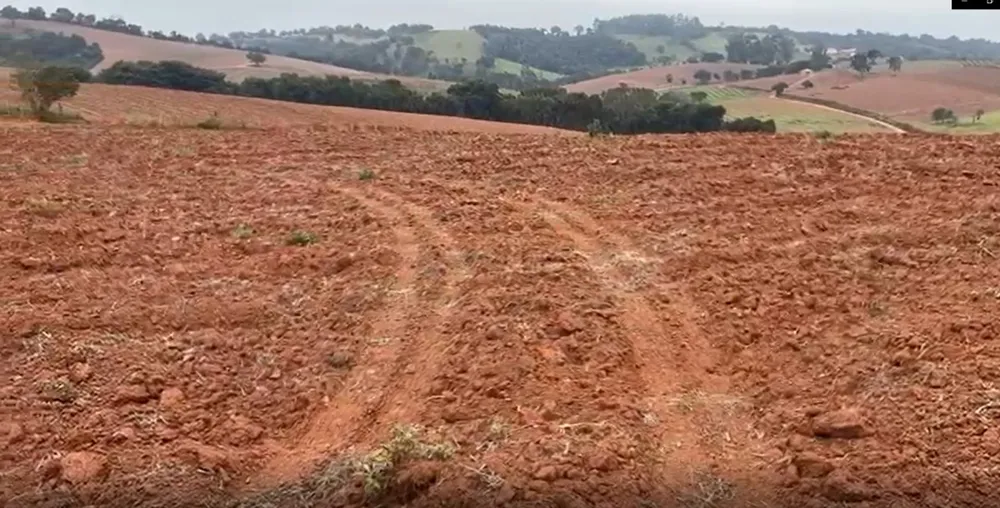 Fazenda, 113 hectares - Foto 3