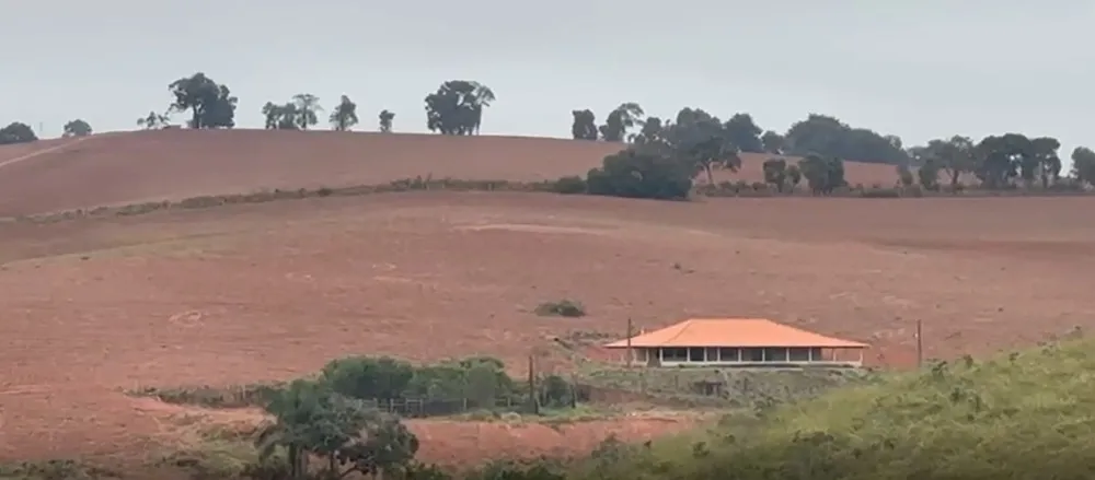 Fazenda, 113 hectares - Foto 13