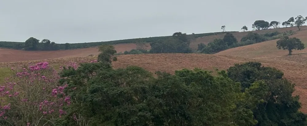 Fazenda, 113 hectares - Foto 2