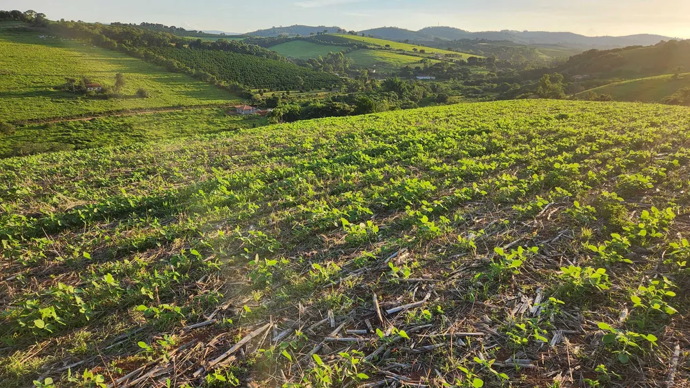 Fazenda, 113 hectares - Foto 14