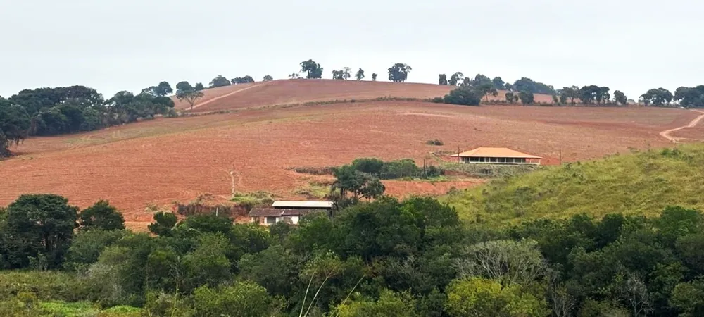 Fazenda, 113 hectares - Foto 4