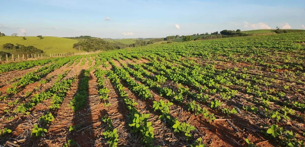 Fazenda, 113 hectares - Foto 2