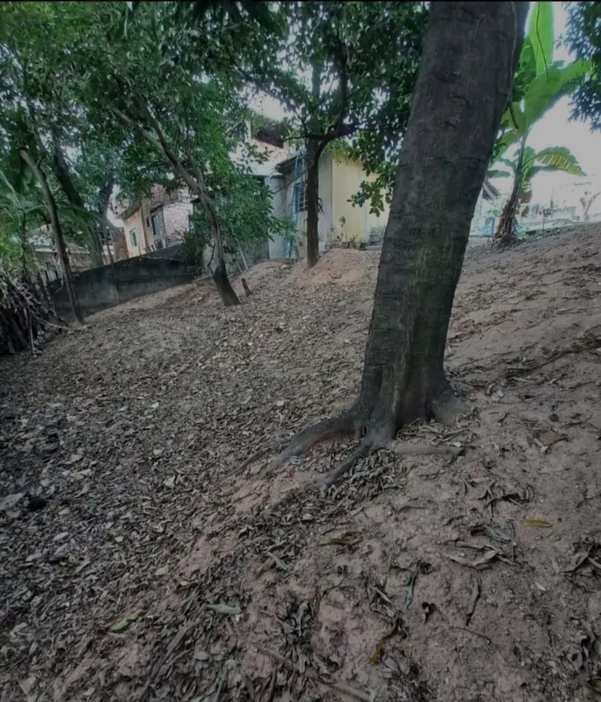 Terreno, 600 m² - Foto 1