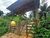 Chácara, 1 quarto - Foto 1