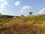 Terreno, 1000 m² - Foto 2