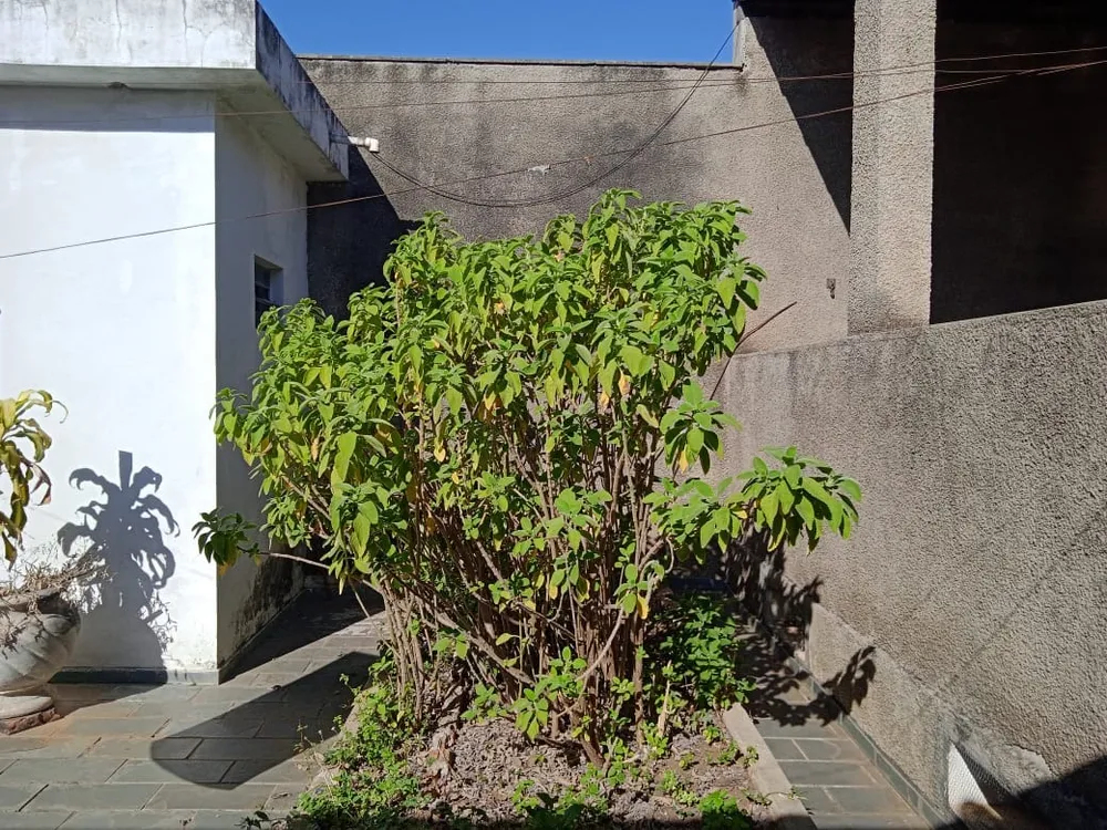 Casa, 3 quartos, 387 m² - Foto 9