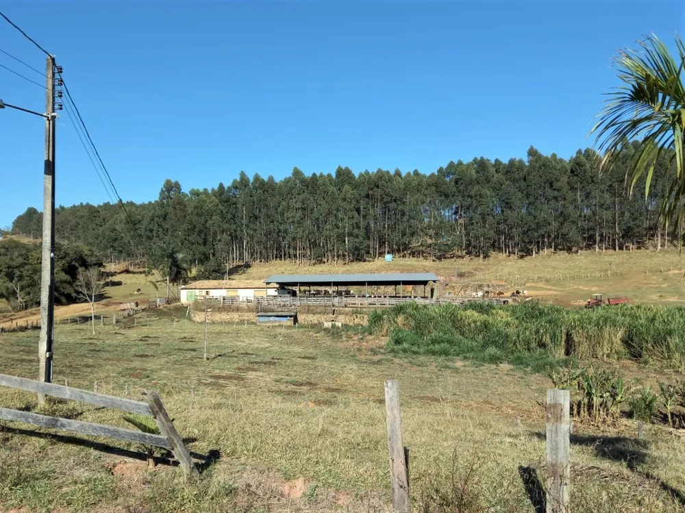 Fazenda, 235 hectares - Foto 1
