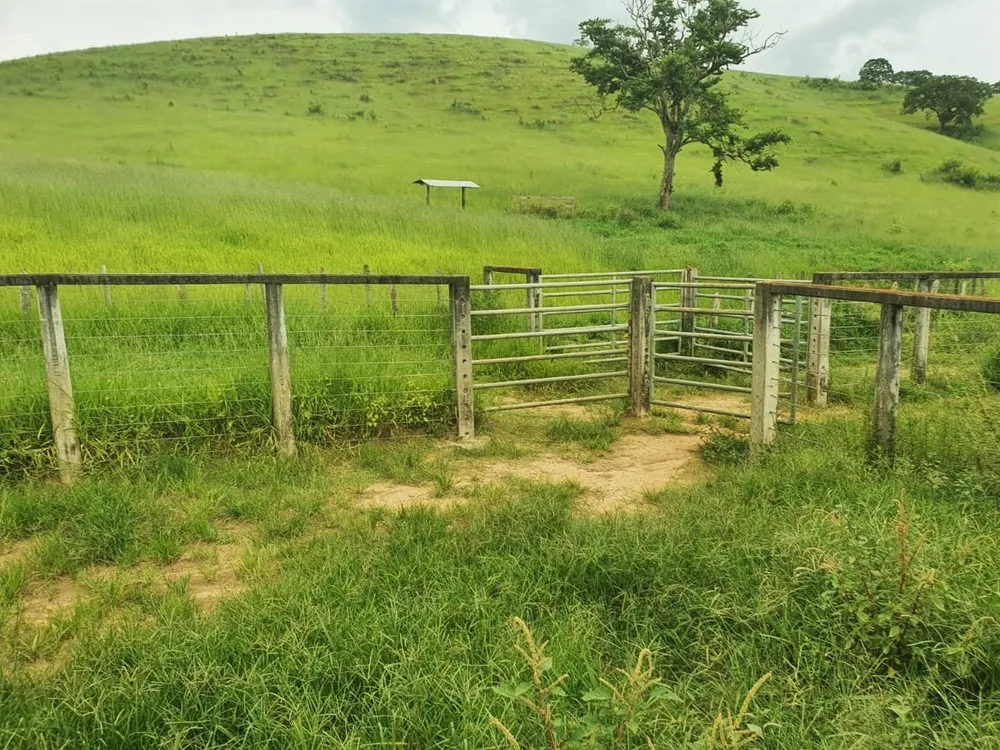 Fazenda, 235 hectares - Foto 12
