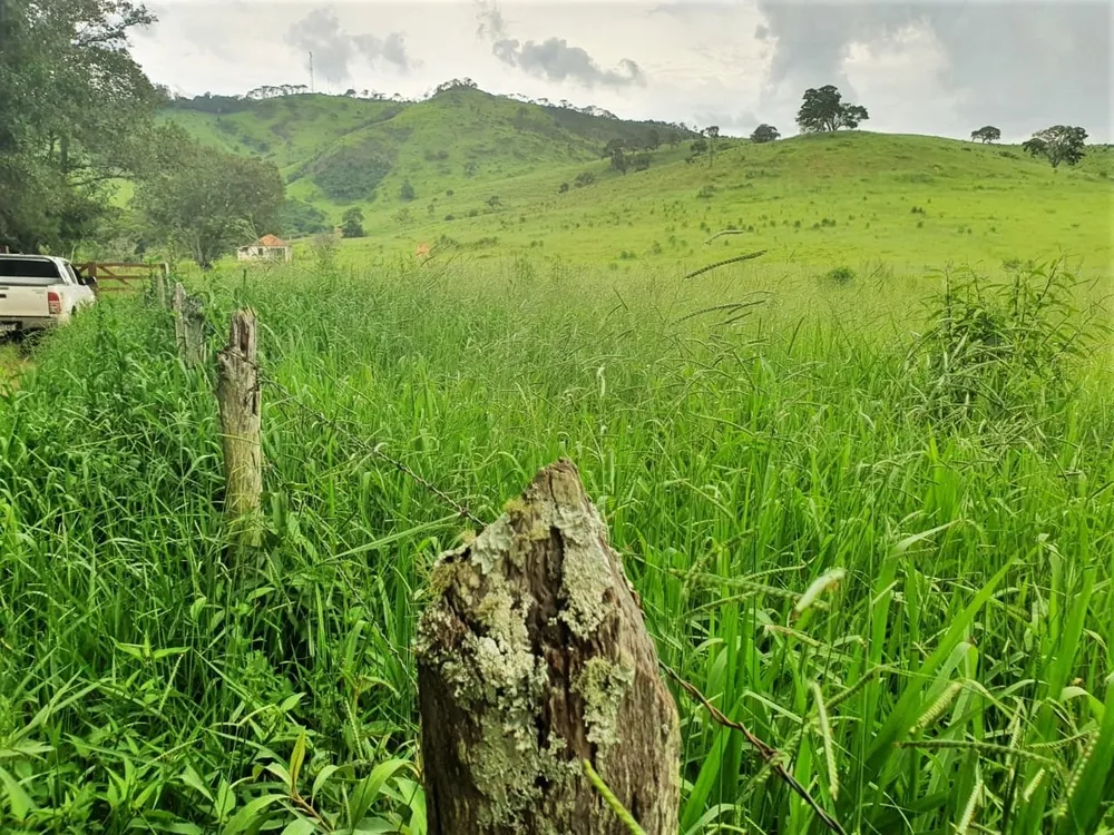 Fazenda, 235 hectares - Foto 8