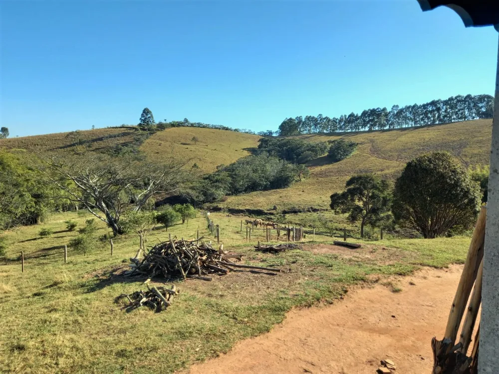 Fazenda, 235 hectares - Foto 2