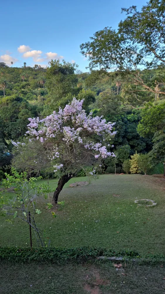 Chácara, 3 quartos, 29 m² - Foto 5