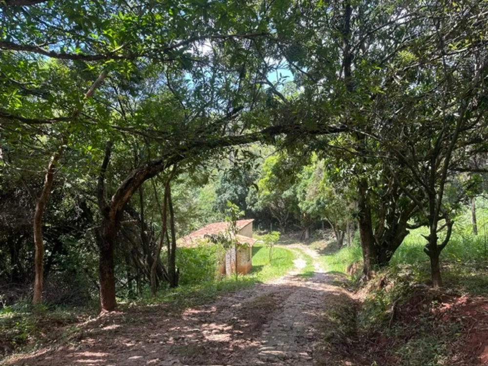 Chácara, 3 quartos, 29 m² - Foto 6