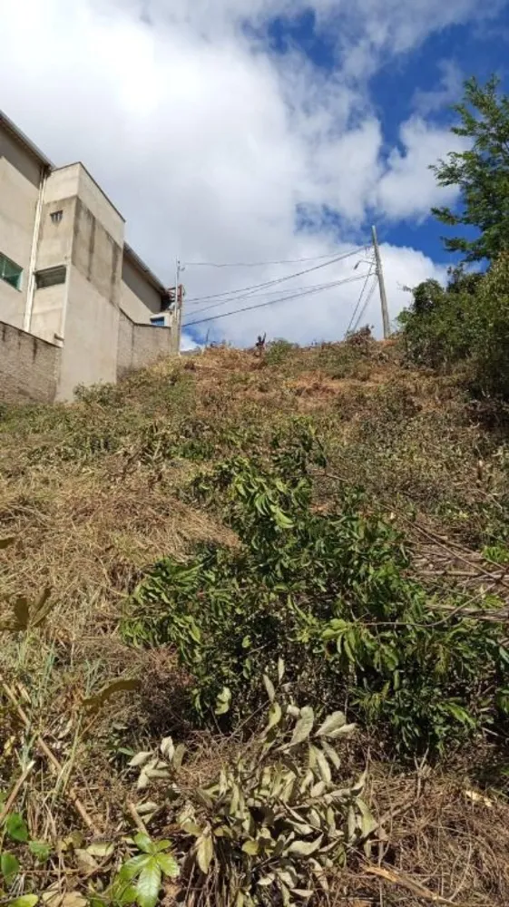 Terreno, 427 m² - Foto 4