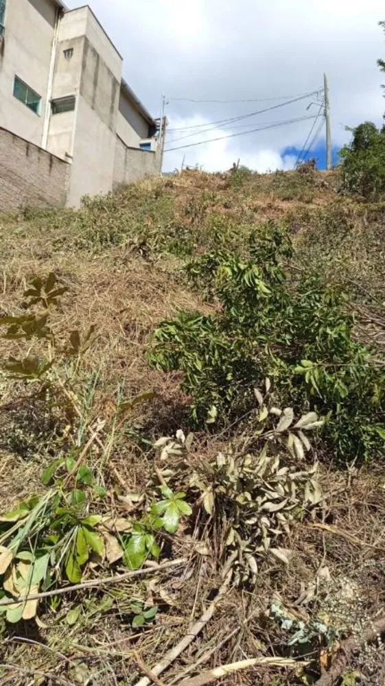 Terreno, 427 m² - Foto 2