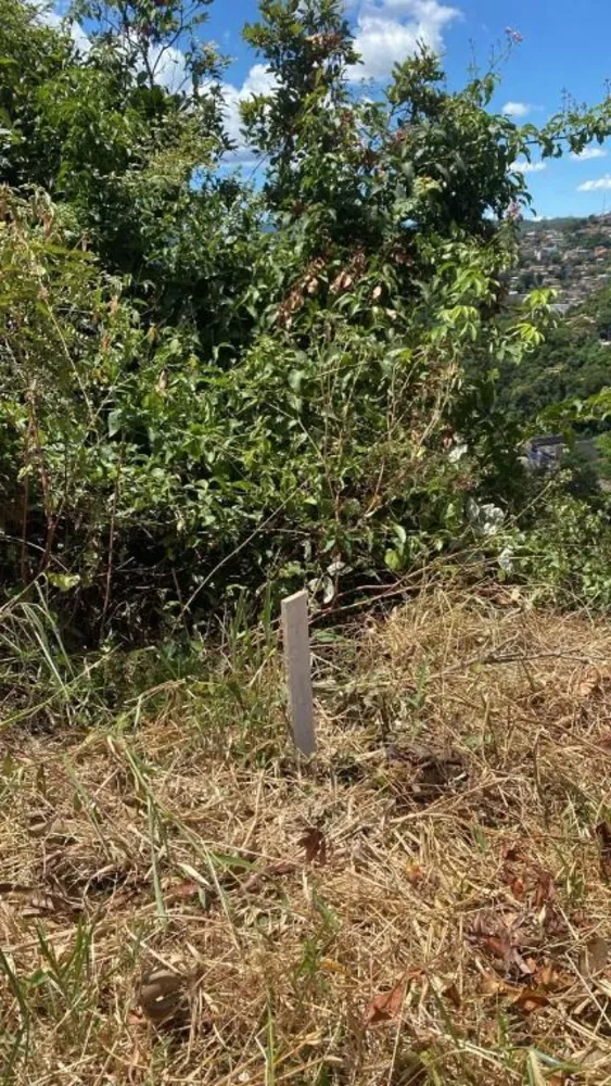 Terreno, 427 m² - Foto 8