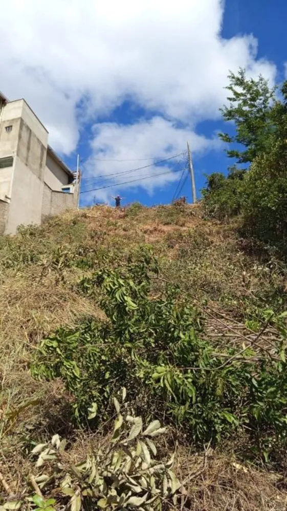 Terreno, 427 m² - Foto 7